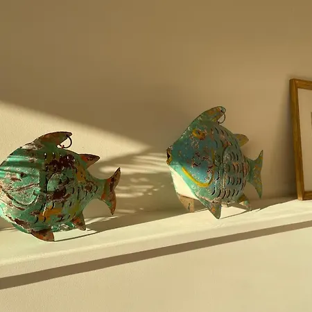 De Standing Vue 63 M2