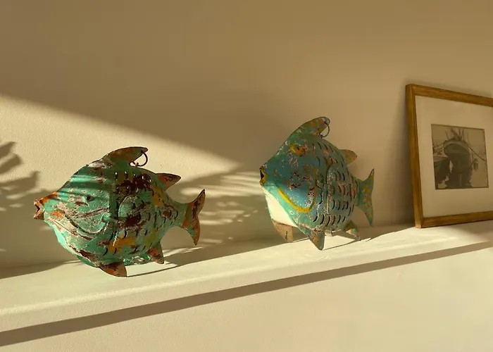 De Standing Vue 63 M2